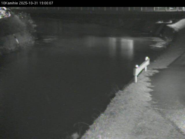 最新監視カメラ画像