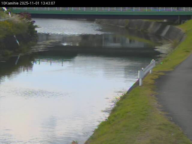 最新監視カメラ画像