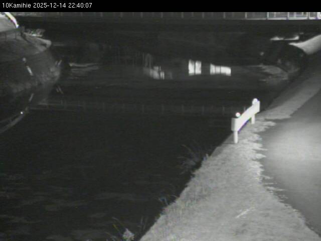 最新監視カメラ画像