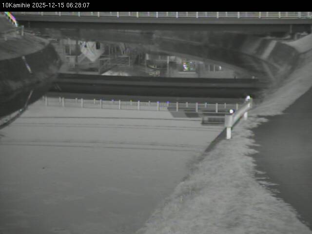 最新監視カメラ画像