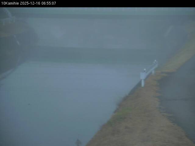 最新監視カメラ画像