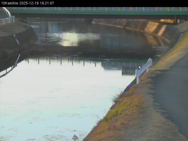 最新監視カメラ画像