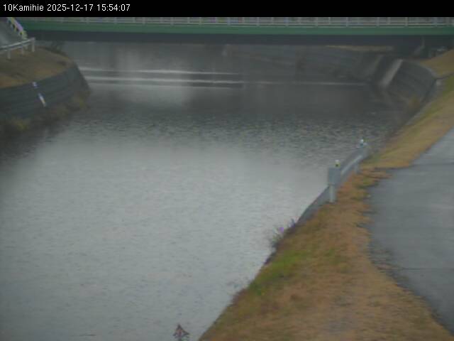 最新監視カメラ画像