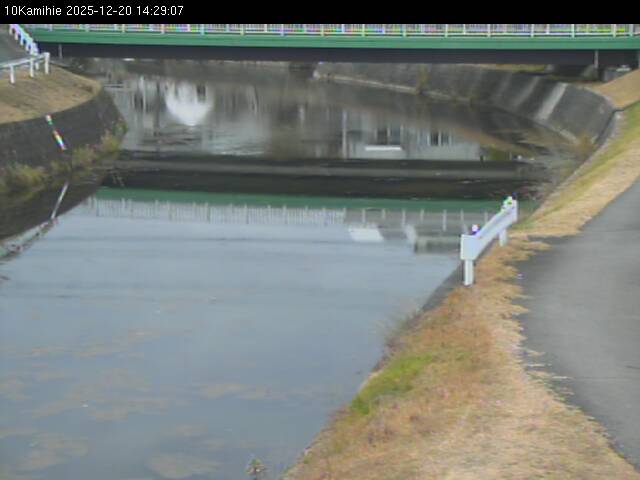 最新監視カメラ画像