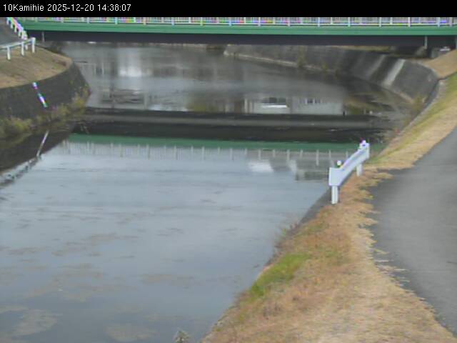 最新監視カメラ画像