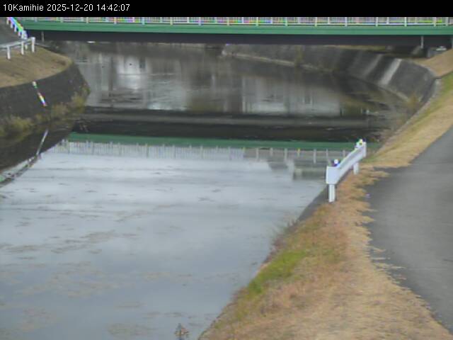 最新監視カメラ画像