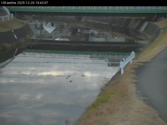 最新監視カメラ画像