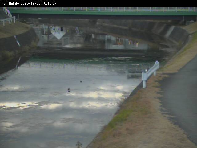 最新監視カメラ画像