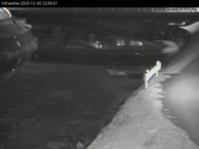 最新監視カメラ画像