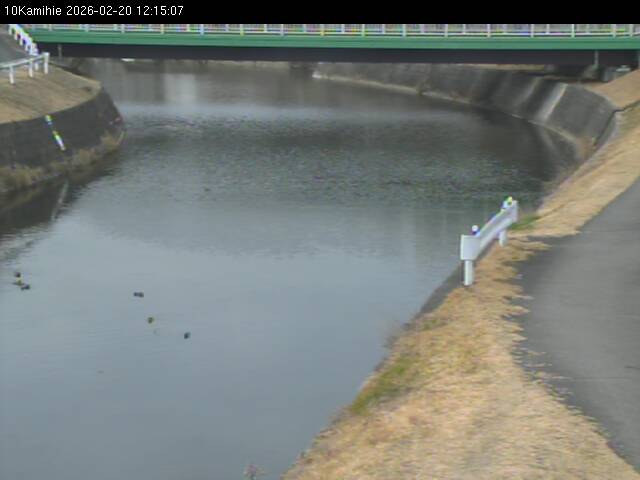 最新監視カメラ画像