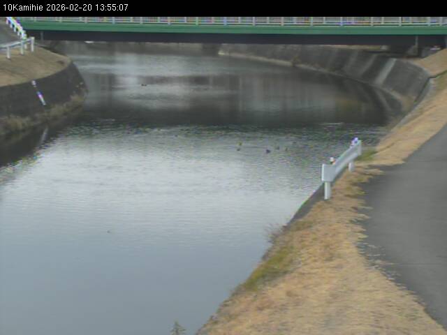 最新監視カメラ画像