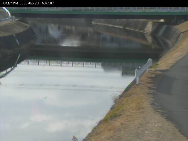 最新監視カメラ画像