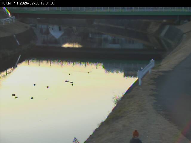 最新監視カメラ画像