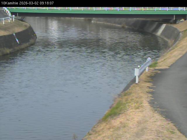 最新監視カメラ画像