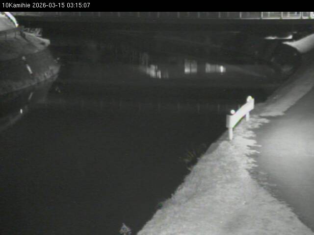 最新監視カメラ画像