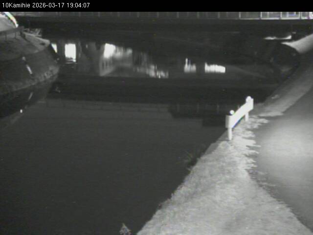 最新監視カメラ画像