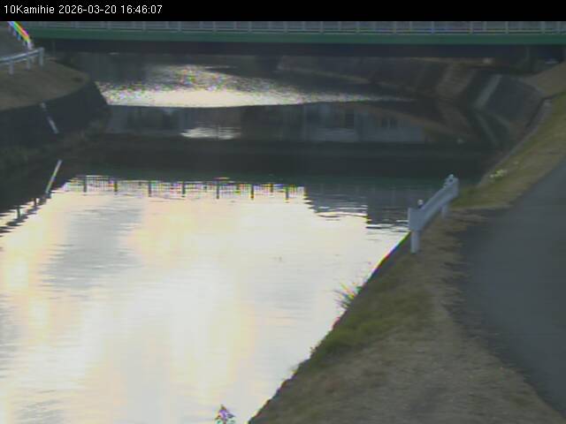 最新監視カメラ画像