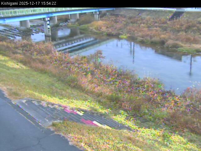 最新監視カメラ画像