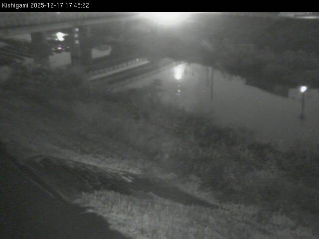 最新監視カメラ画像