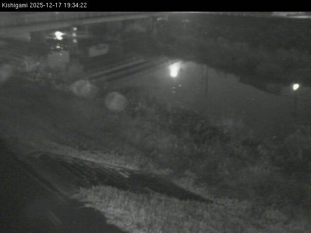 最新監視カメラ画像