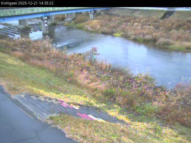 最新監視カメラ画像