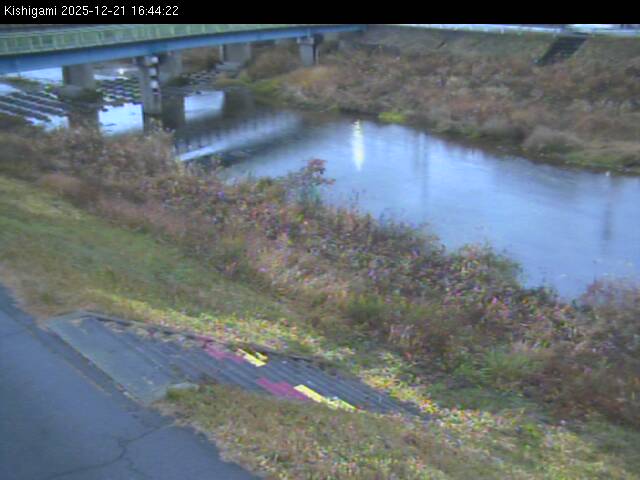 最新監視カメラ画像