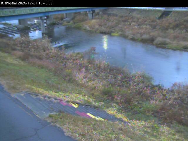 最新監視カメラ画像