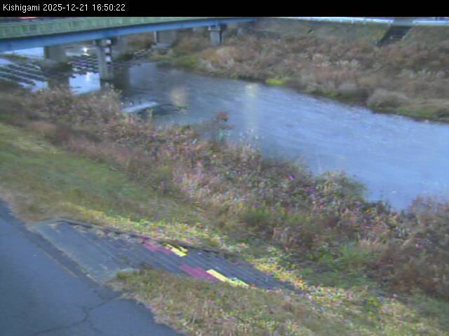 最新監視カメラ画像