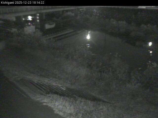 最新監視カメラ画像