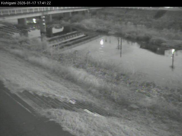 最新監視カメラ画像