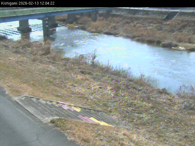 最新監視カメラ画像