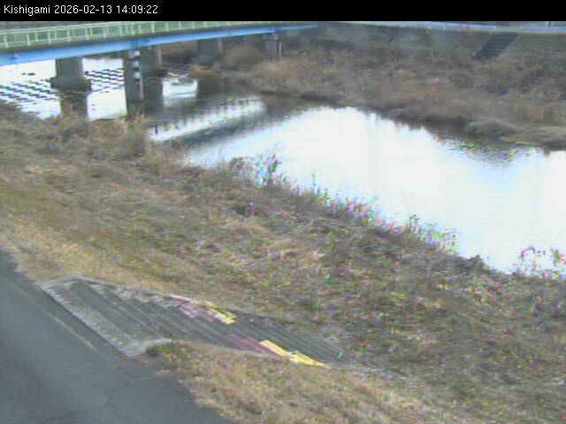 最新監視カメラ画像