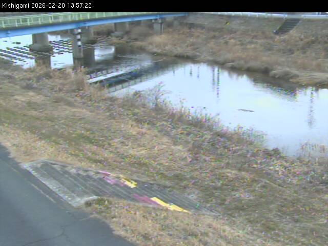 最新監視カメラ画像