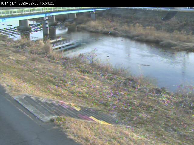 最新監視カメラ画像