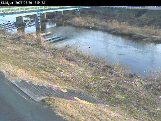 最新監視カメラ画像