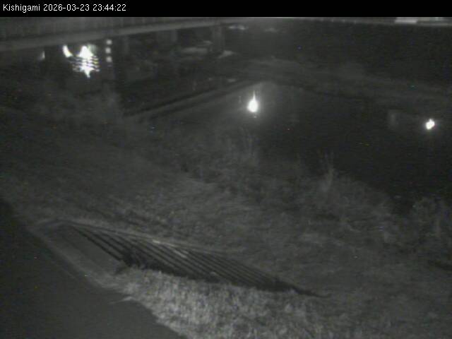 最新監視カメラ画像