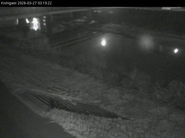 最新監視カメラ画像