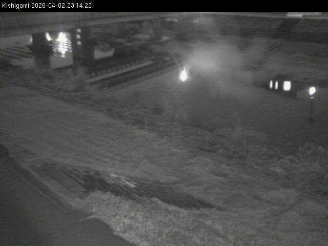 最新監視カメラ画像