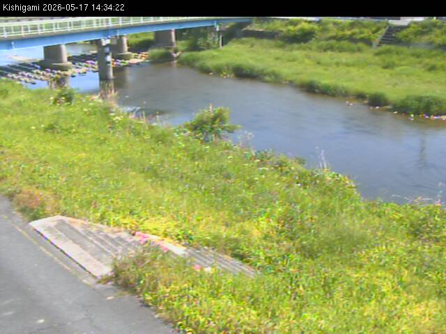 最新監視カメラ画像