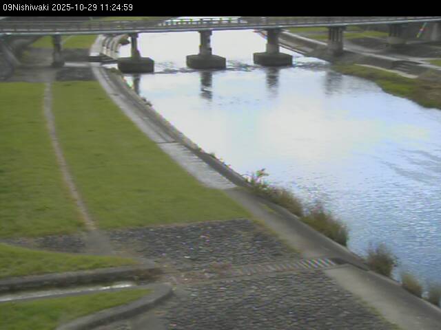 最新監視カメラ画像