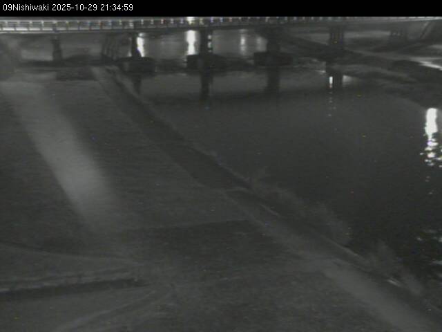 最新監視カメラ画像