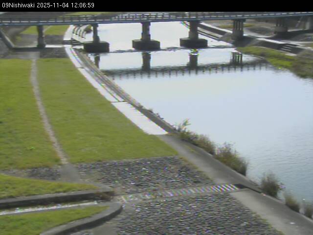 最新監視カメラ画像