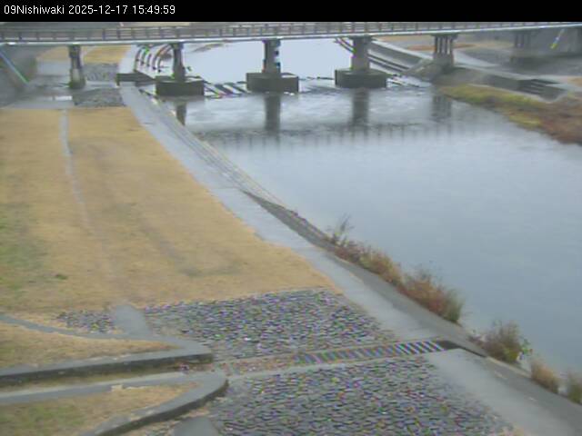 最新監視カメラ画像