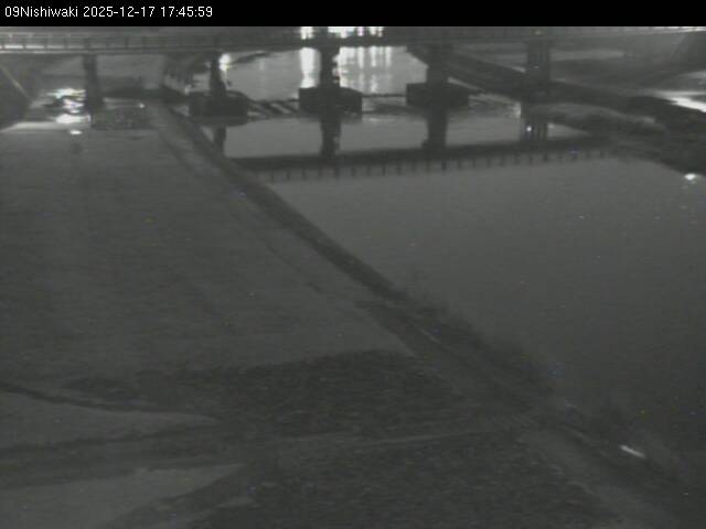 最新監視カメラ画像