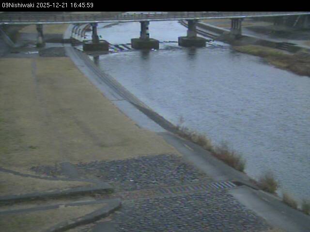 最新監視カメラ画像