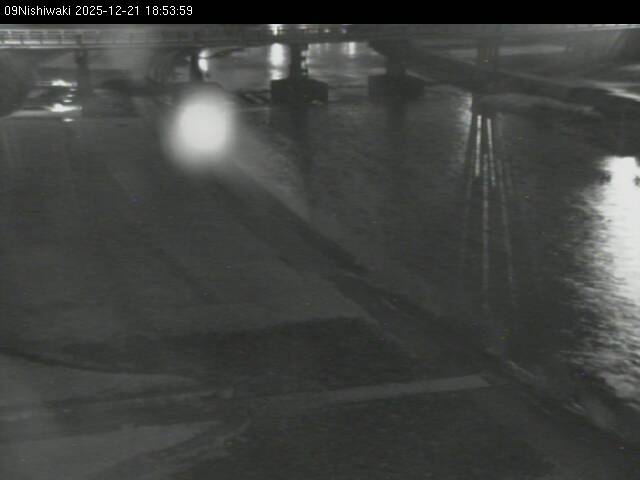 最新監視カメラ画像