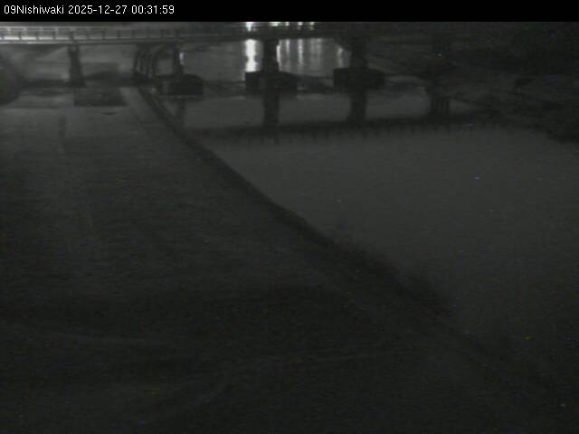 最新監視カメラ画像