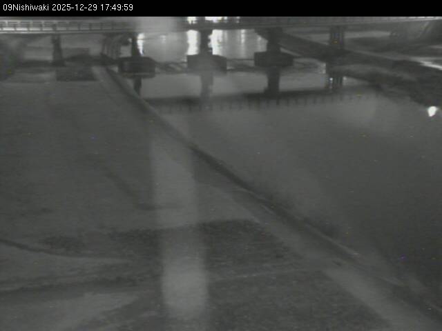 最新監視カメラ画像