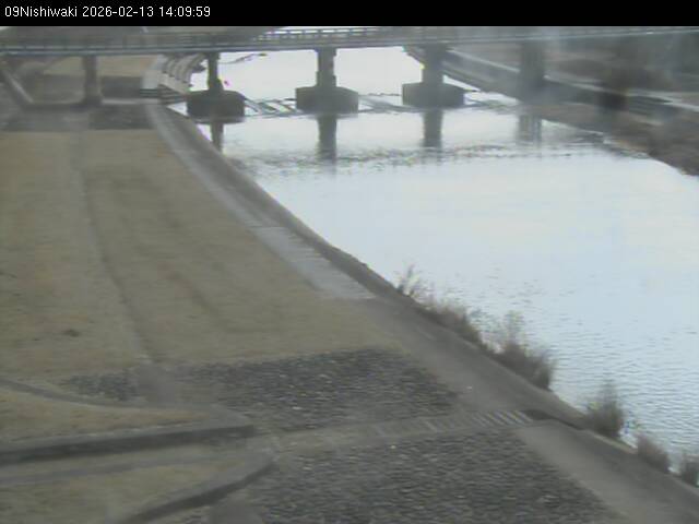 最新監視カメラ画像