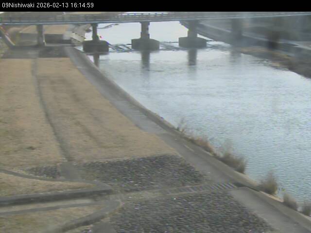 最新監視カメラ画像